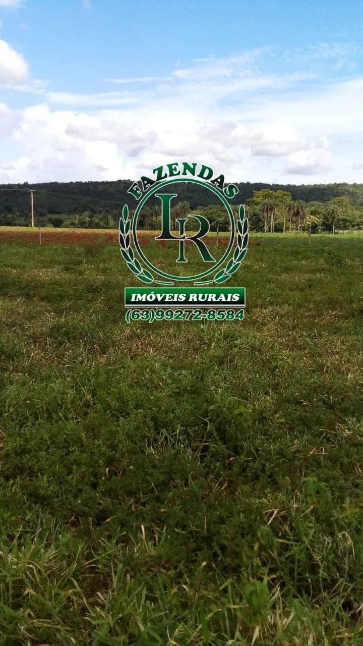 Fazenda 52 Alqueires Dupla Aptidão Região de Luzimangues - Foto 5