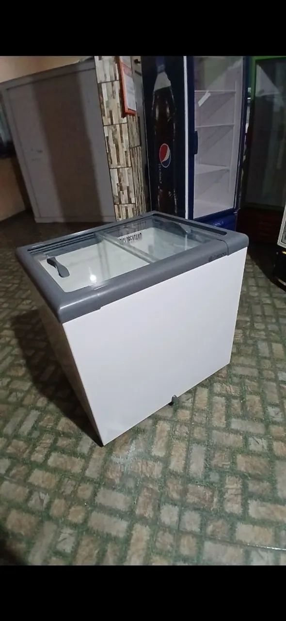 Frezzer horizontal 300lts 110w 