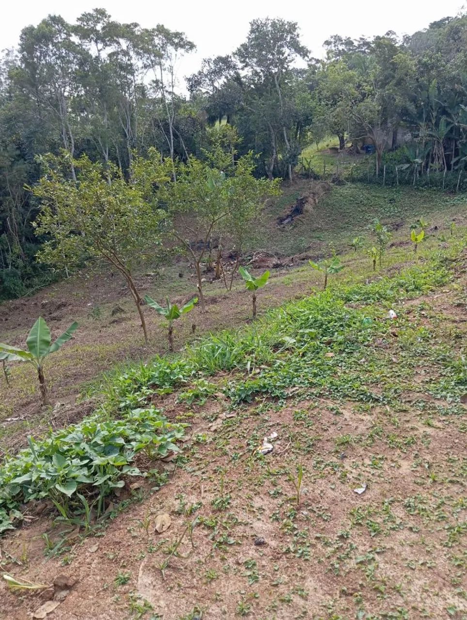 Área de 6.000m2 quadrados  - Foto 5
