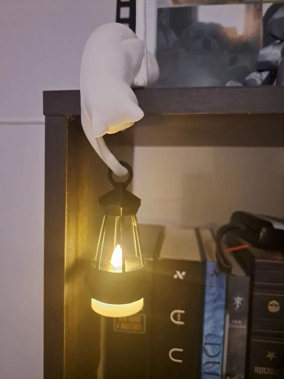 Gancho de prateleira de Gato com Lanterna 