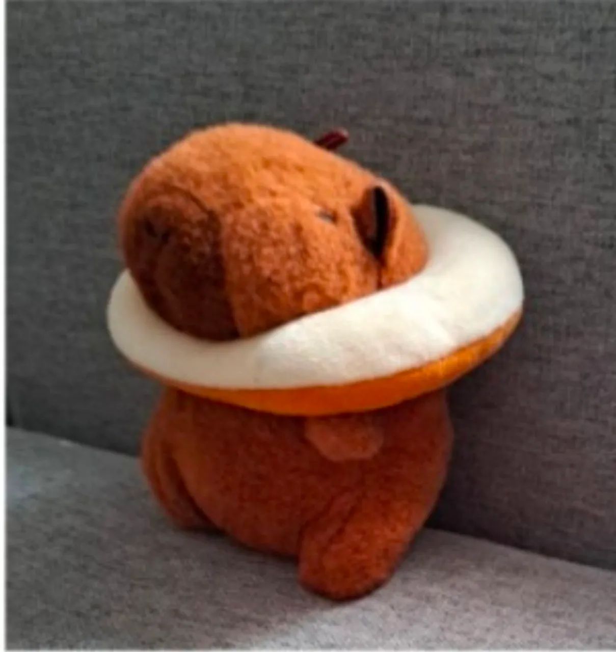 Pelúcia Capivara com boia - Foto 4