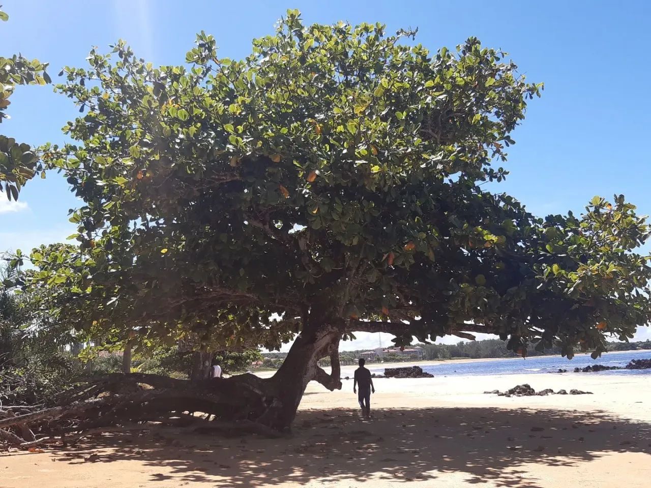 Lote a passos do Mar Praia Formosa - Aracruz - ES - Foto 7