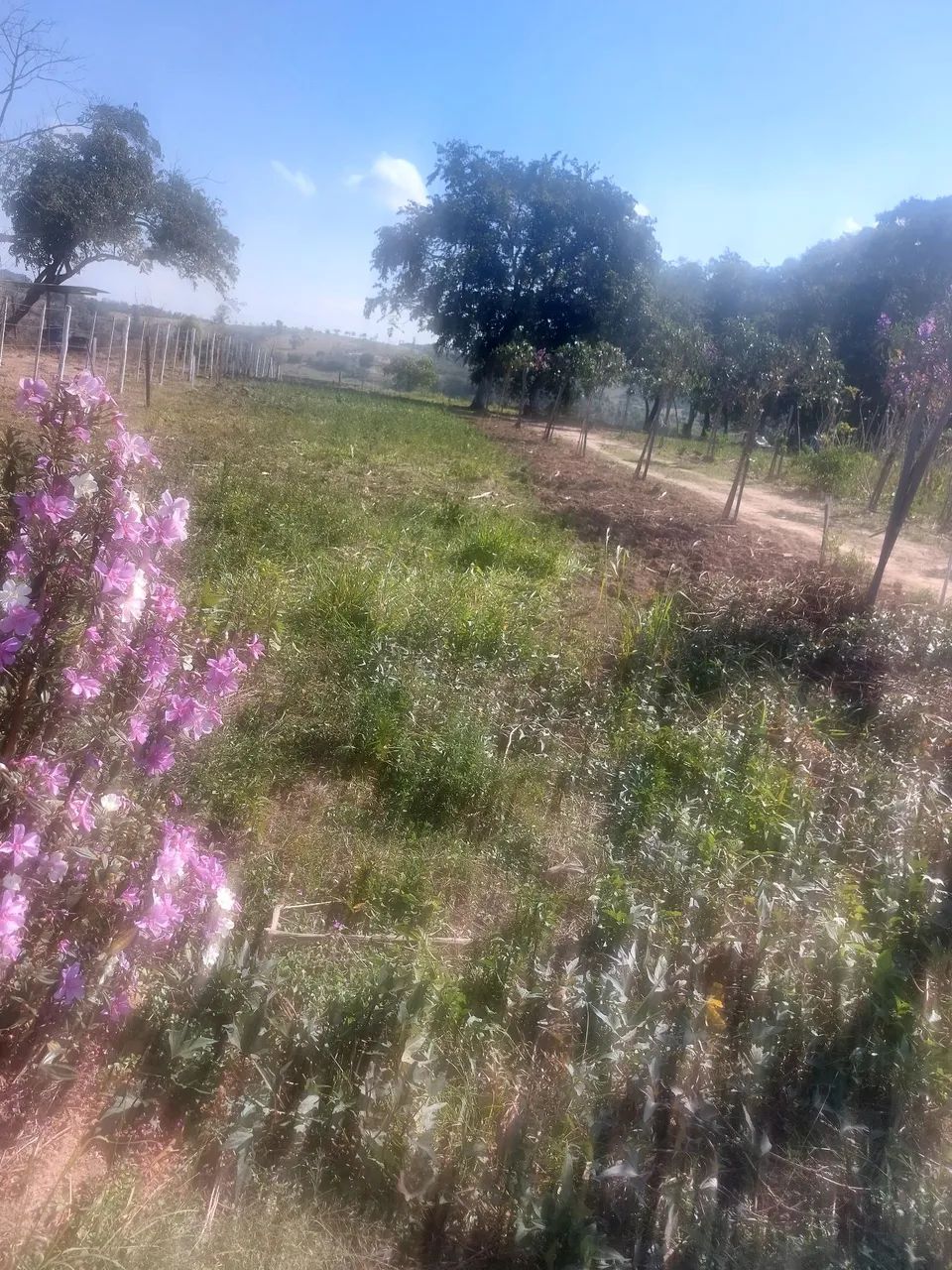 Sitio - Foto 3