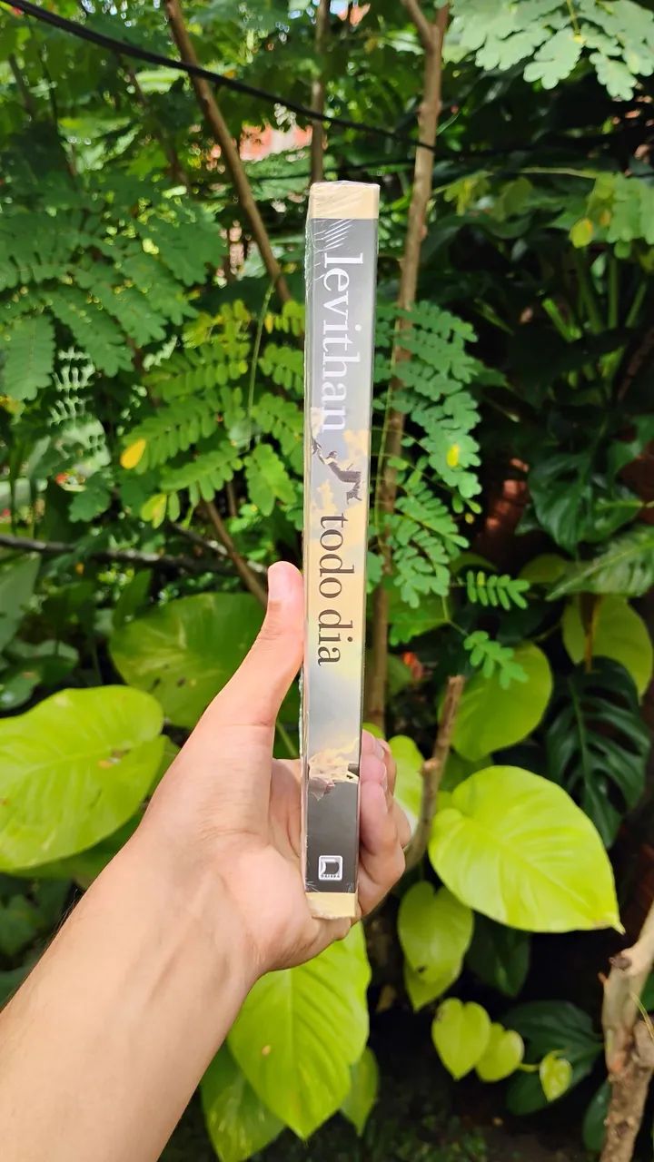 Livro Todo Dia - David Levithan  - Foto 4