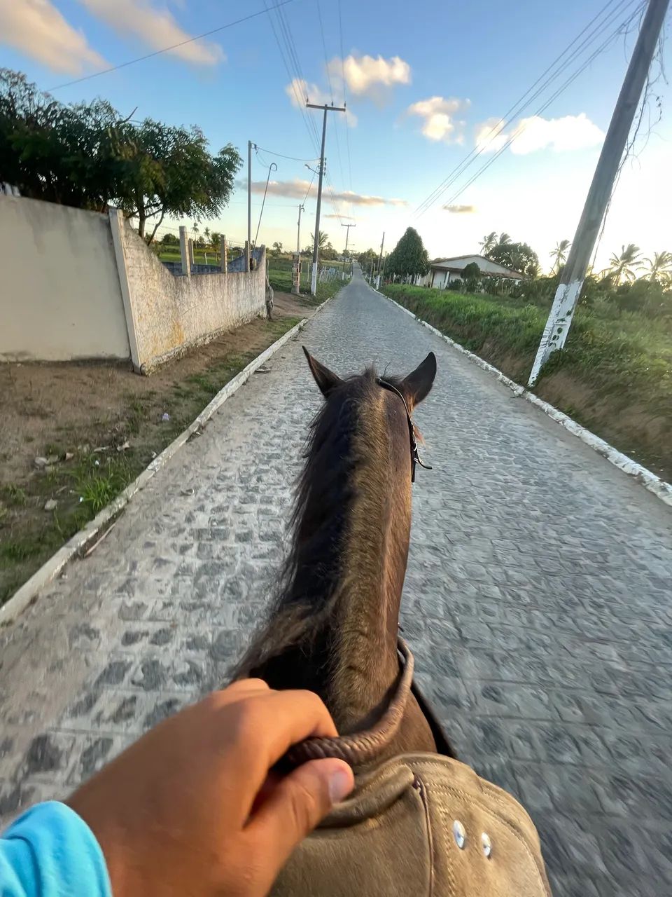 ÉGUA QM - Foto 5