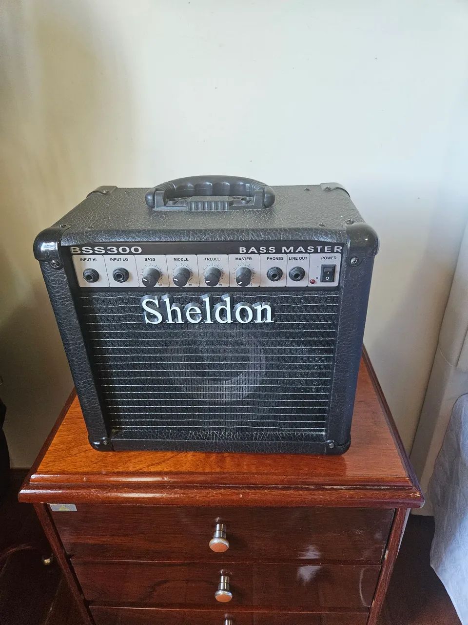 Amplificador para contrabaixo Bss 300, Sheldon