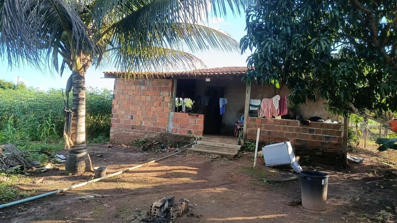 Vendo chácara na cidade de Belém Alagoas  - Foto 3