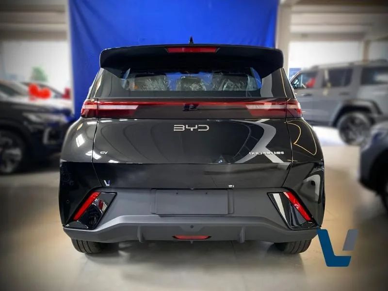 BYD Dolphin Mini (Elétrico) 2027 - Foto 5