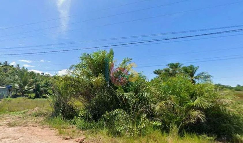 OPORTUNIDADE DE LOTE NO LUZIMARES - Foto 3