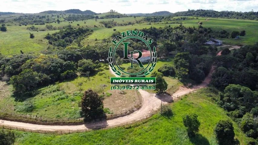 Fazenda de 1.200 alqueires Pará - Foto 4