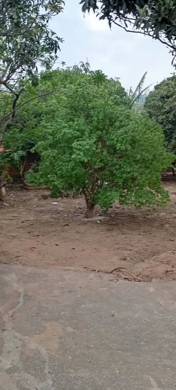 Vendo ou Troco por casa - Foto 3