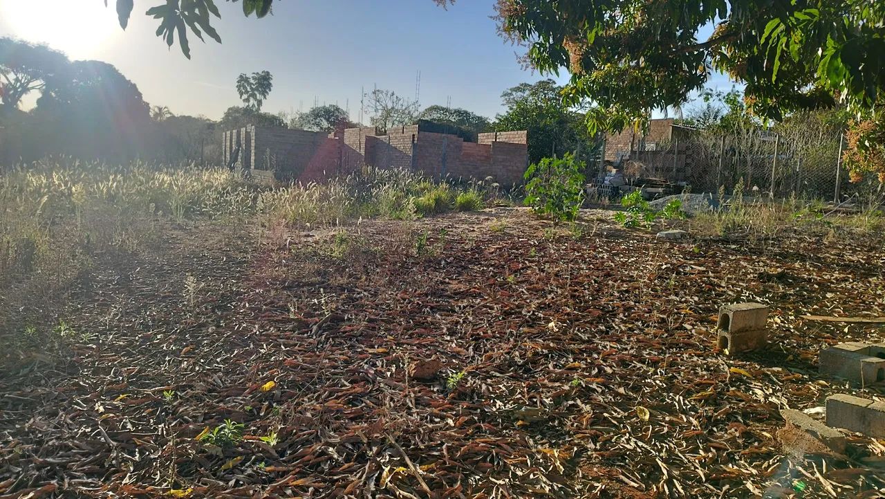 Terreno/Chácara  - Foto 5