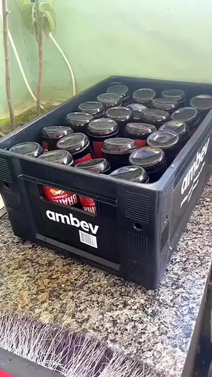 Engradado plástico AmBev 24 garrafa 300 ml completo com as garrafas  - Foto 2