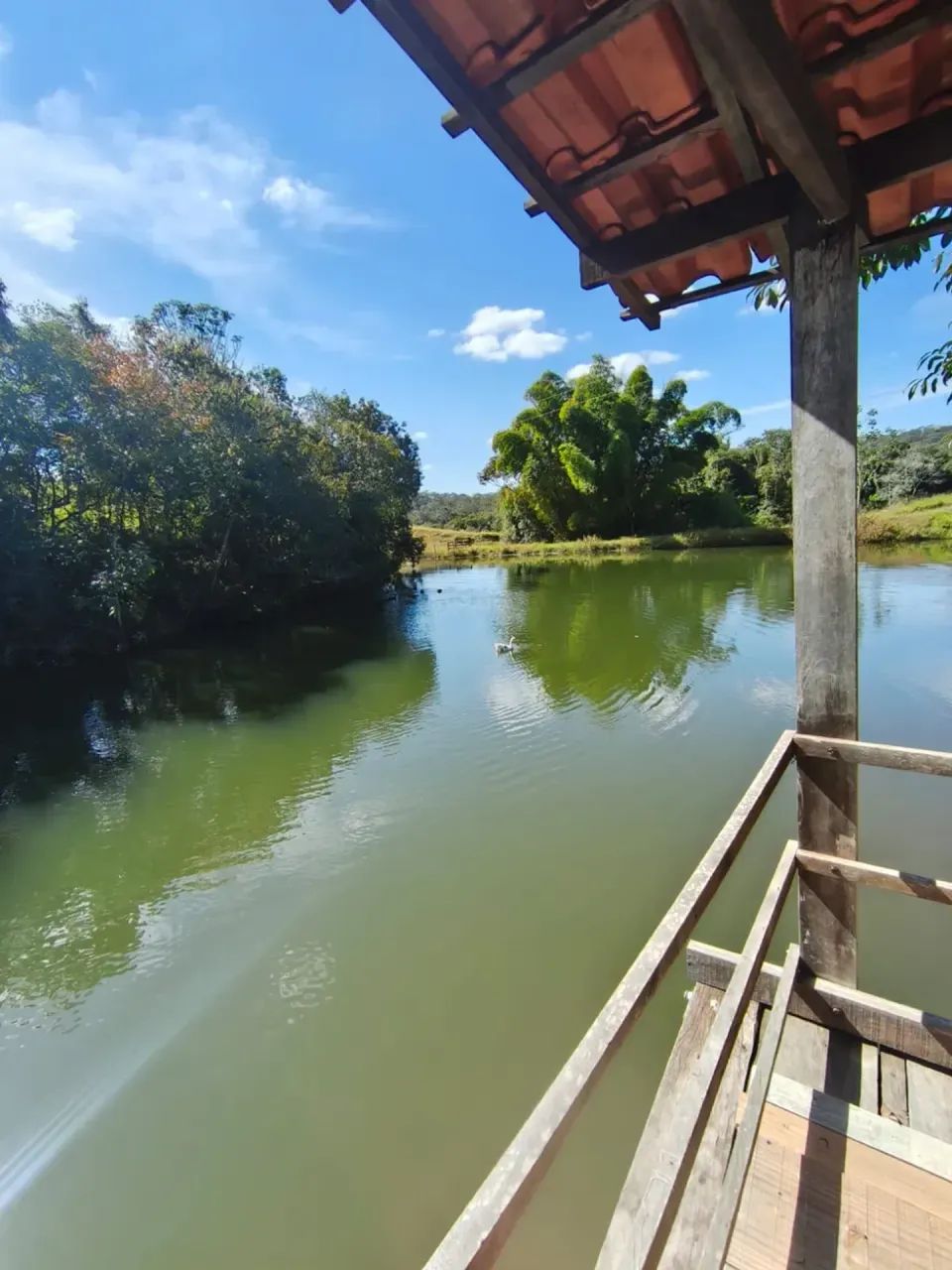 Imóve6 Alqueires Extra, Muito Barato! - Foto 4