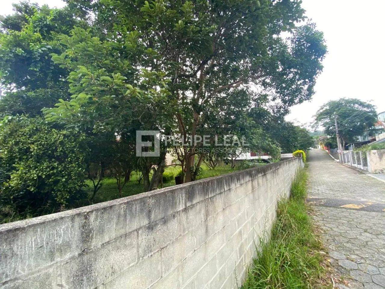 Lote / Terreno em Santa Mônica - Florianópolis, SC - Foto 2