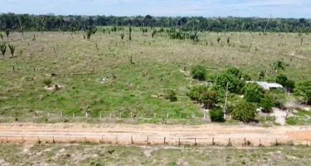 Lote de 42 hectares  - Foto 4