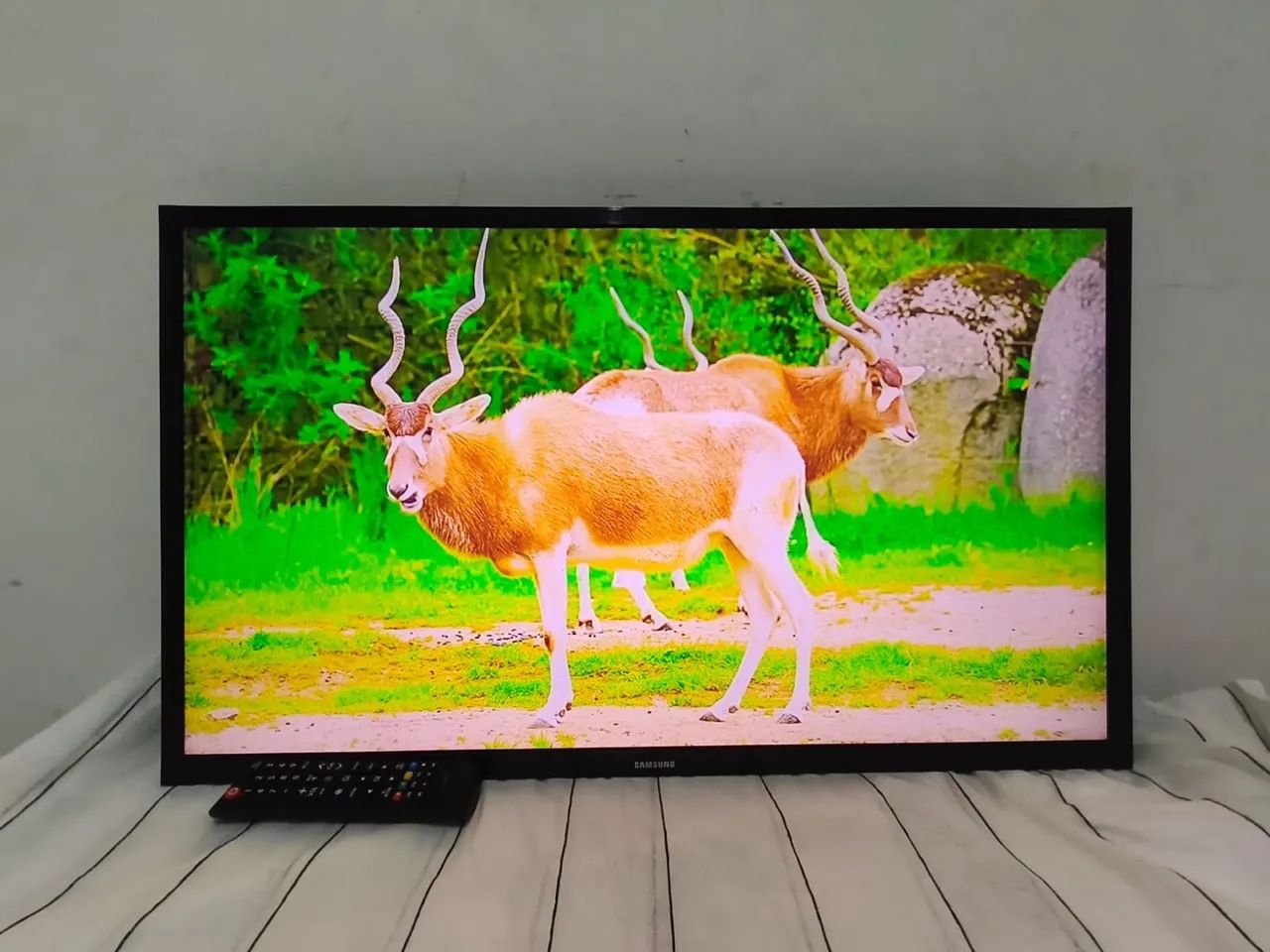 TV SMART SAMSUNG 43 - Foto 4