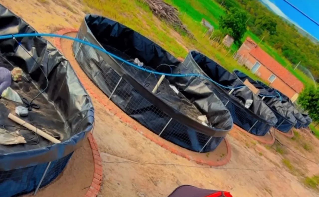 Tanque para criação de peixes e camarão 