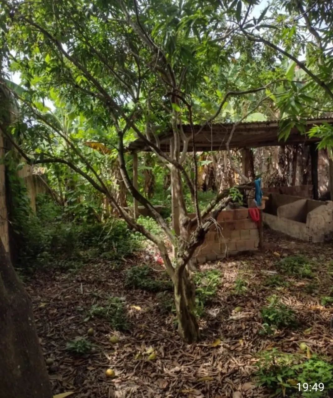 Venda de Terreno - Foto 4