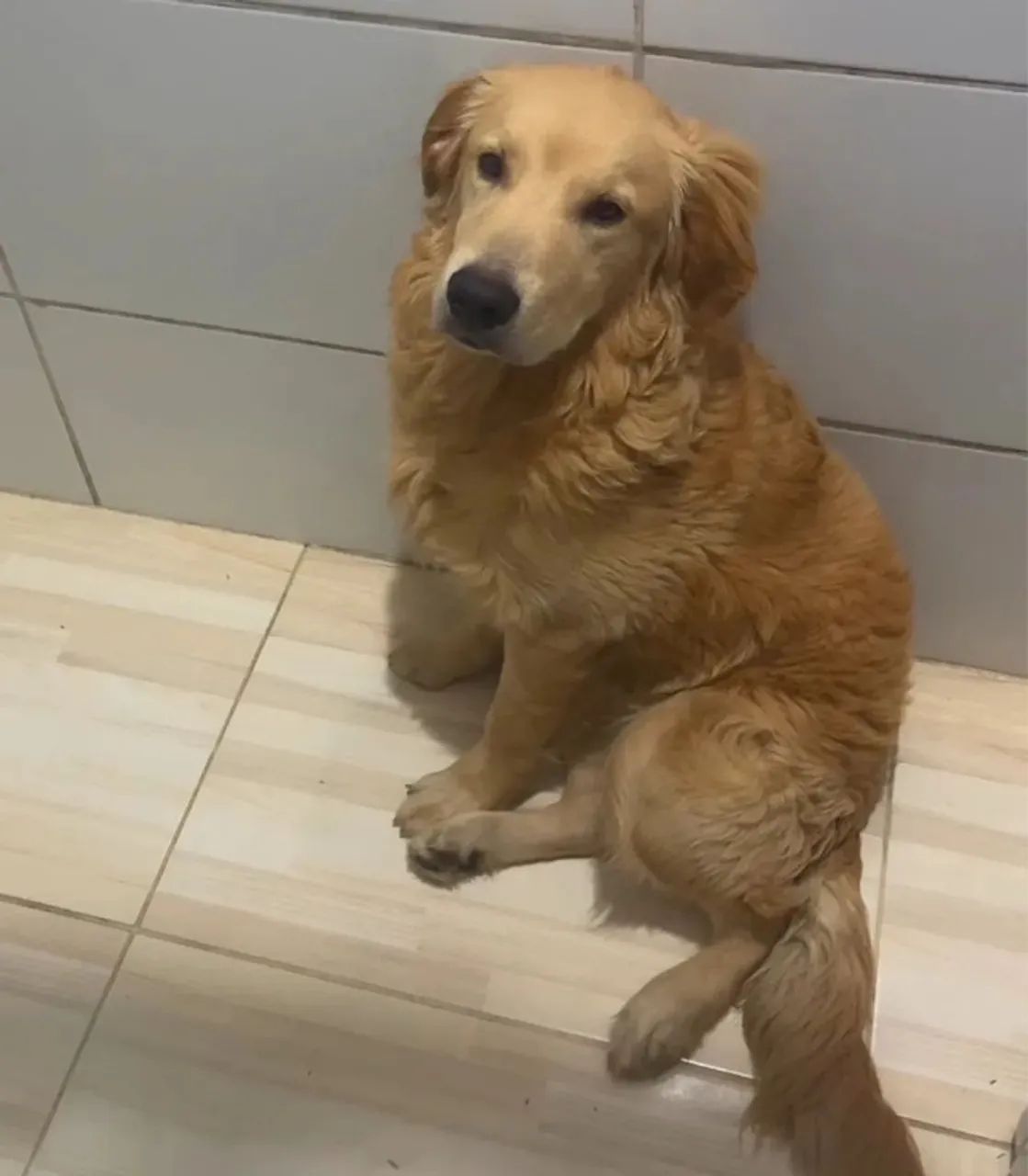 Golden