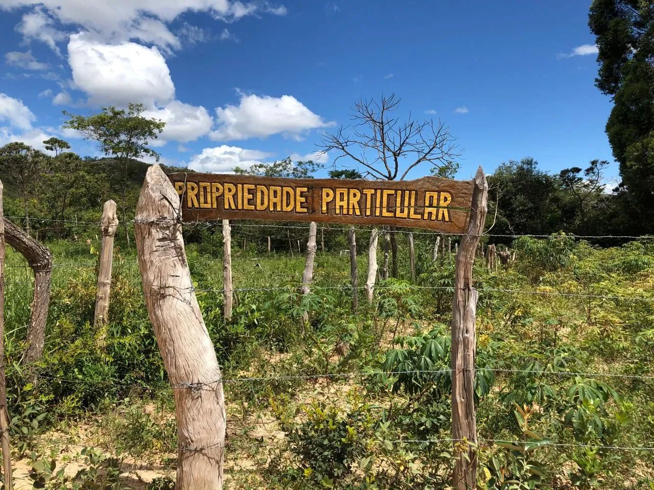 Foto - Belo Horizonte - Santa Inês