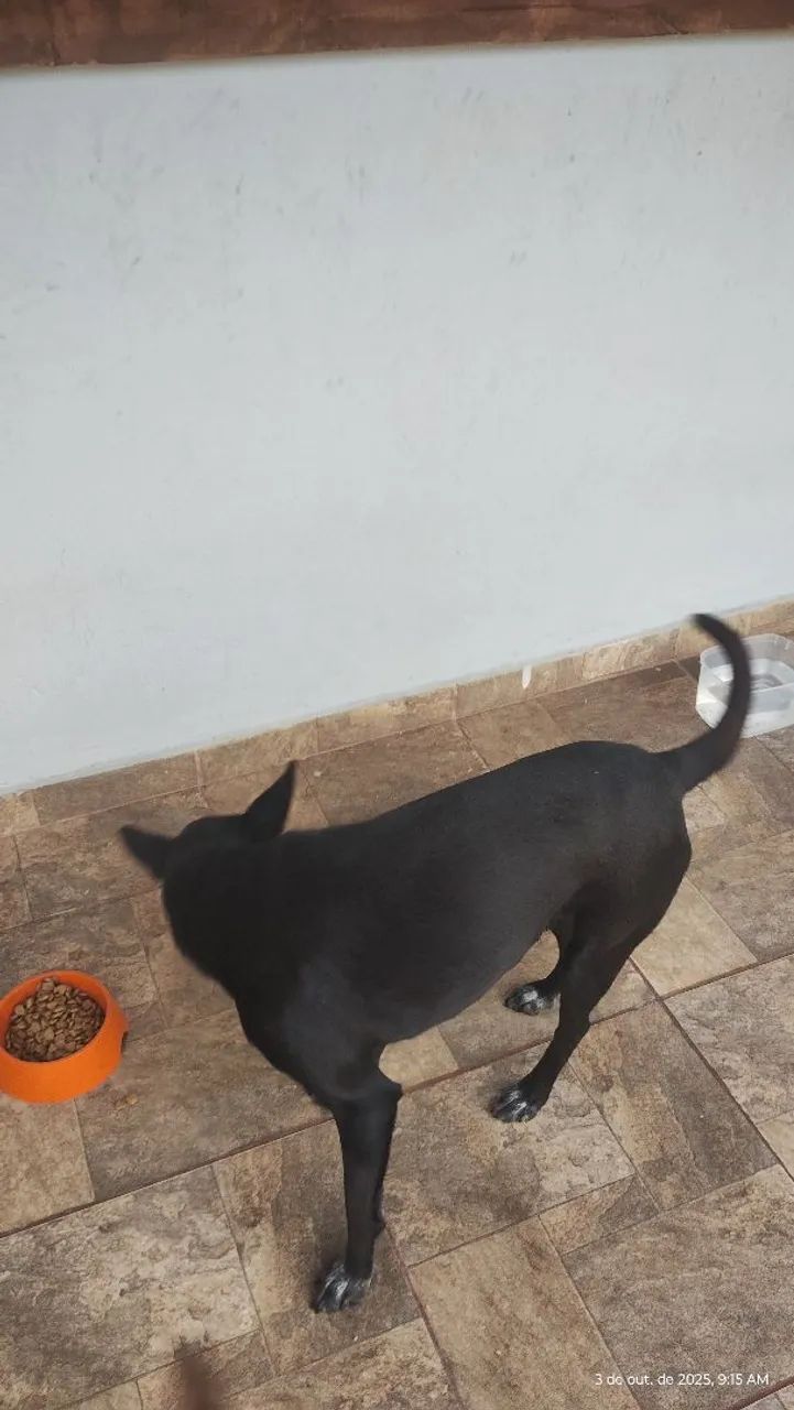 Doação  - Foto 2