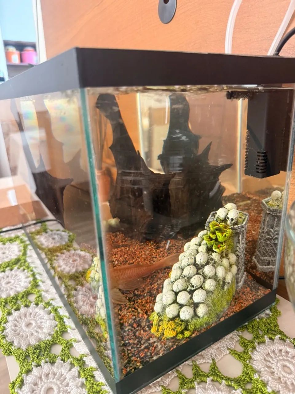 Aquário 20L - Foto 4