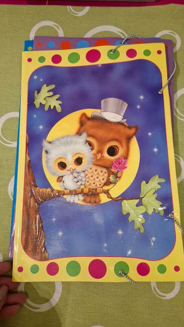 Papelaria Antiga .pastas de Papelaria  - Foto 2