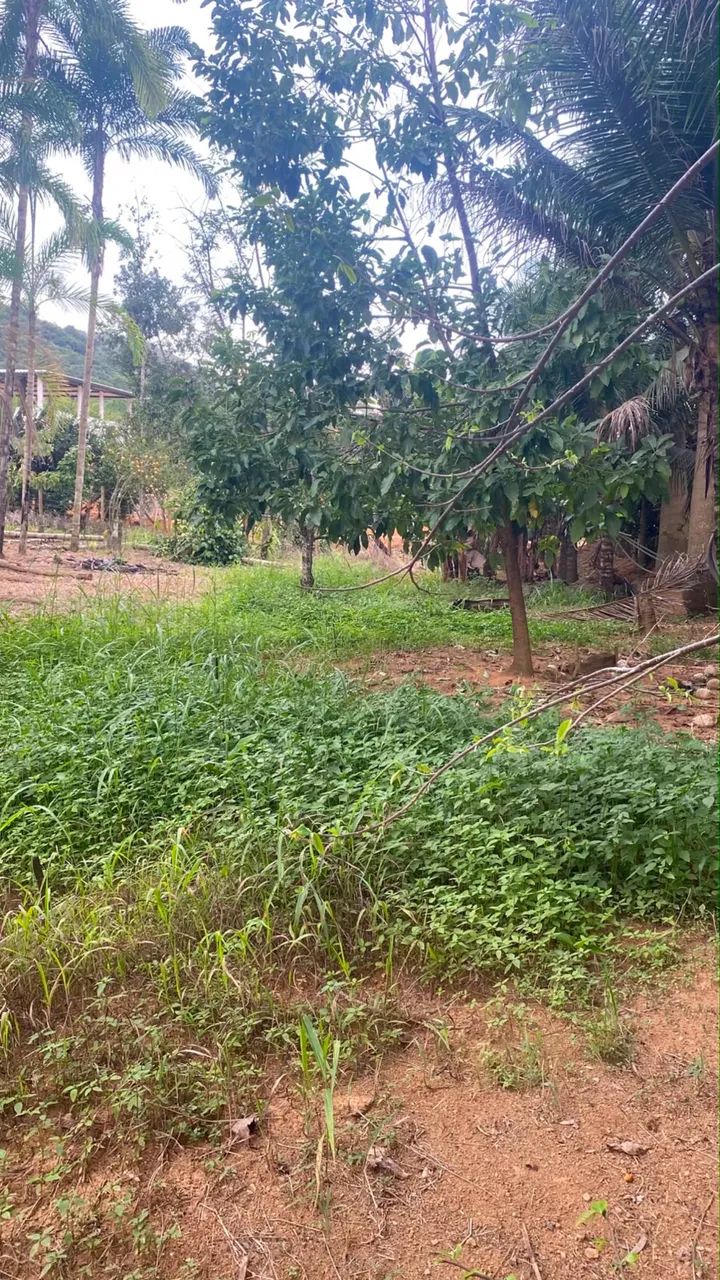 Terreno com acesso ao rio jucu  - Foto 2