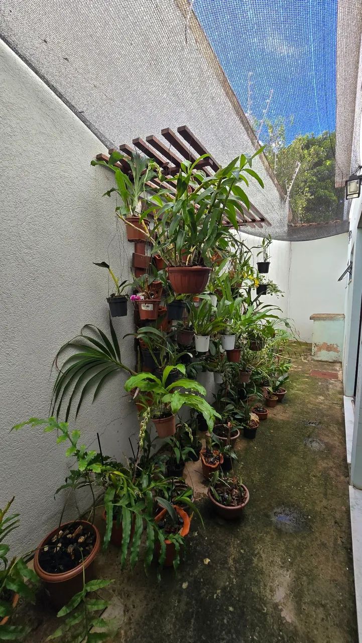 Mega Sobrado com 4 Quartos e + - Foto 4