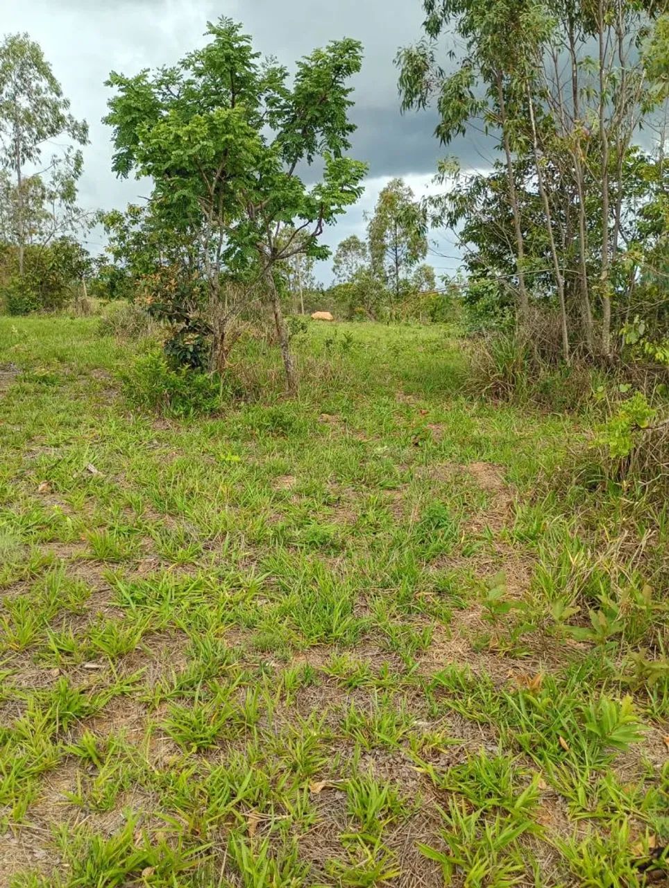 Chacaras em itatiaucu regiao Medeiros  - Foto 4