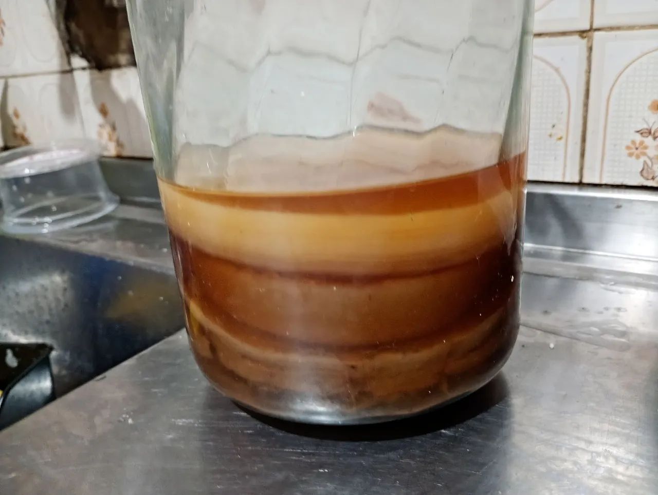 Scoby de kombucha - Foto 4