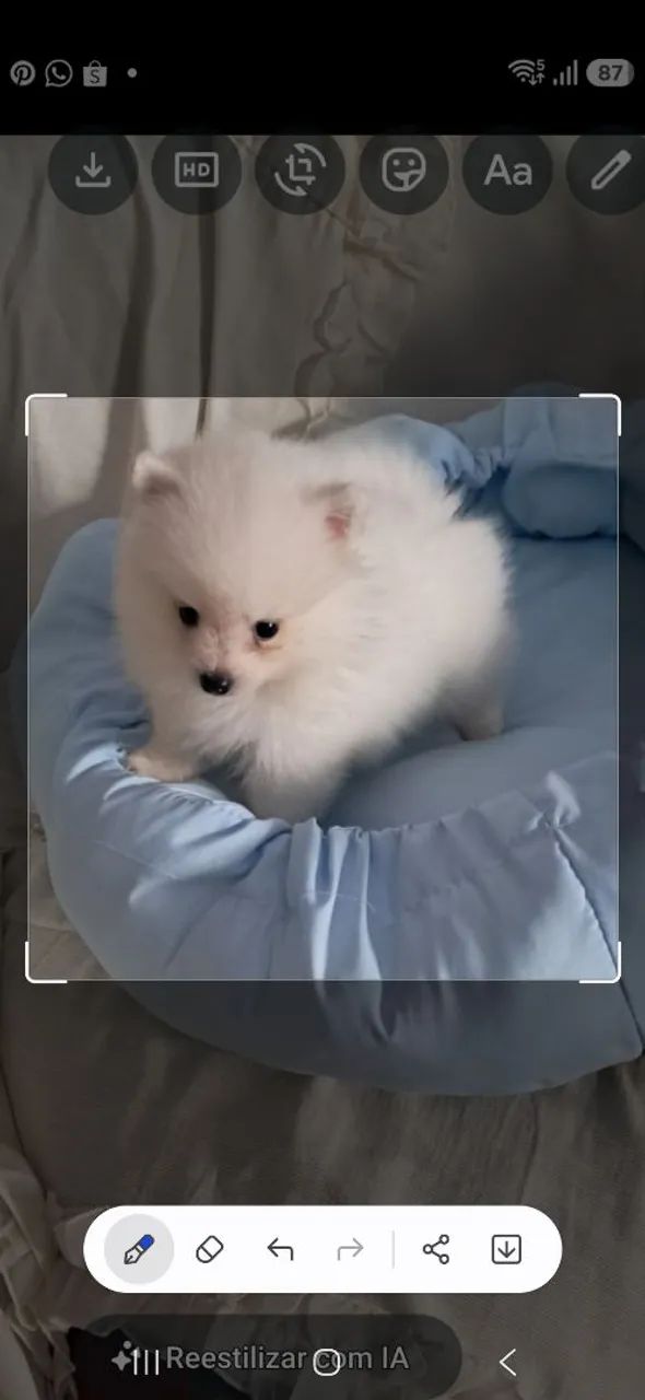 Venda pet - Foto 4