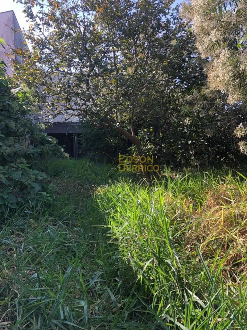 Lote/Terreno à Venda, Vila Nair - Pindamonhangaba - Foto 3
