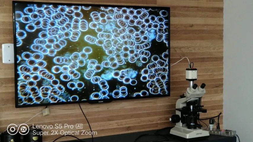 Microscopio de campo escuro 
