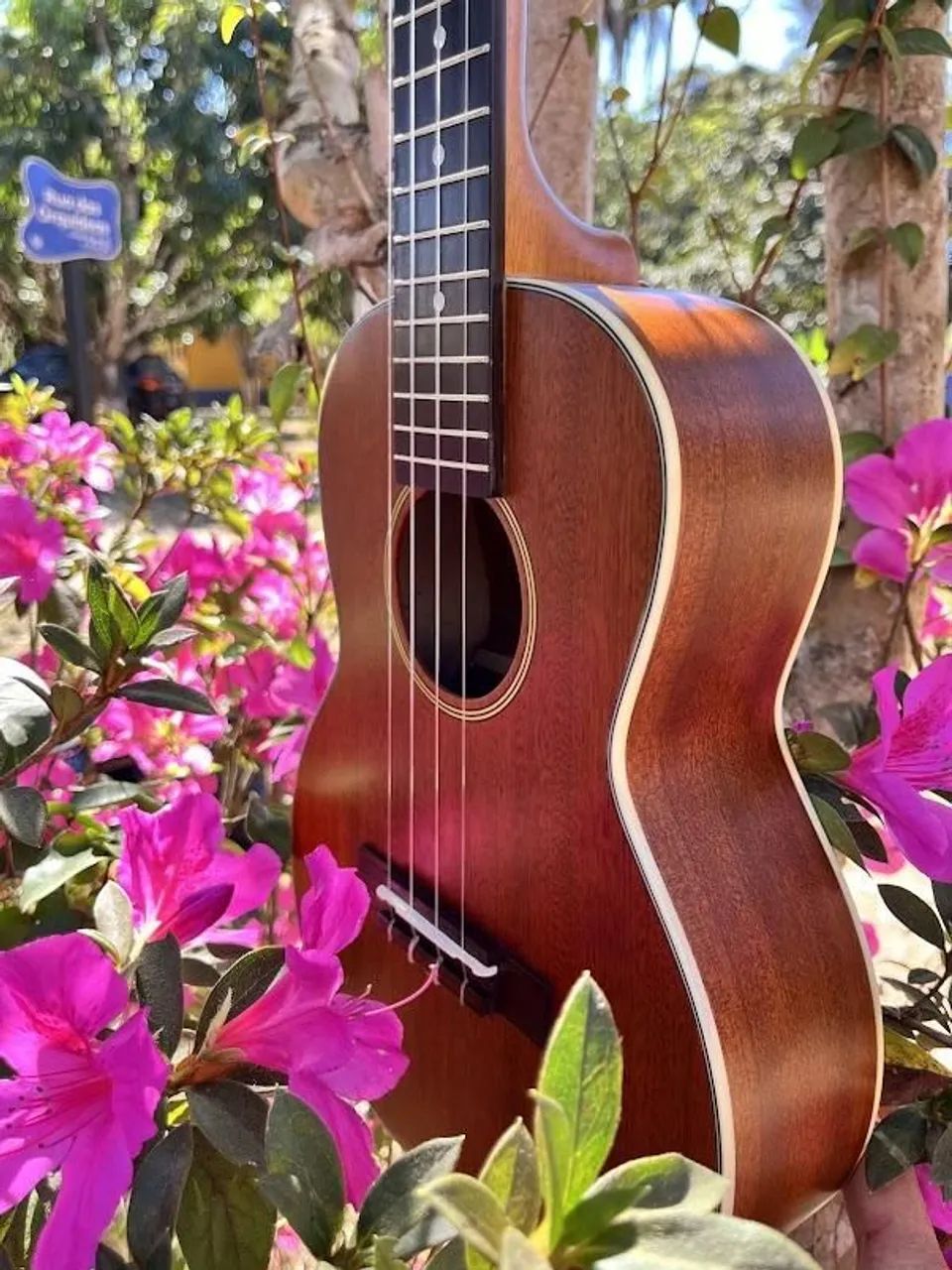 Ukulele Ohana Tenor Tk20 elétrico com capa