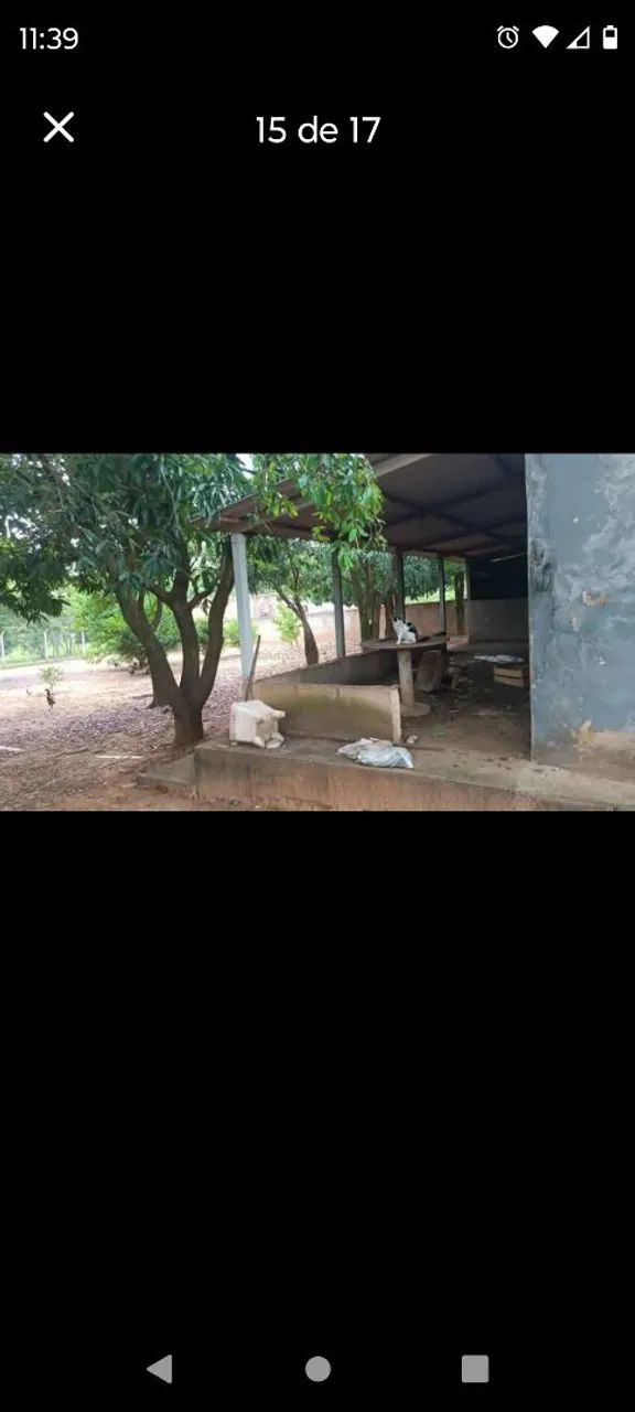 Vendo chácara  - Foto 4