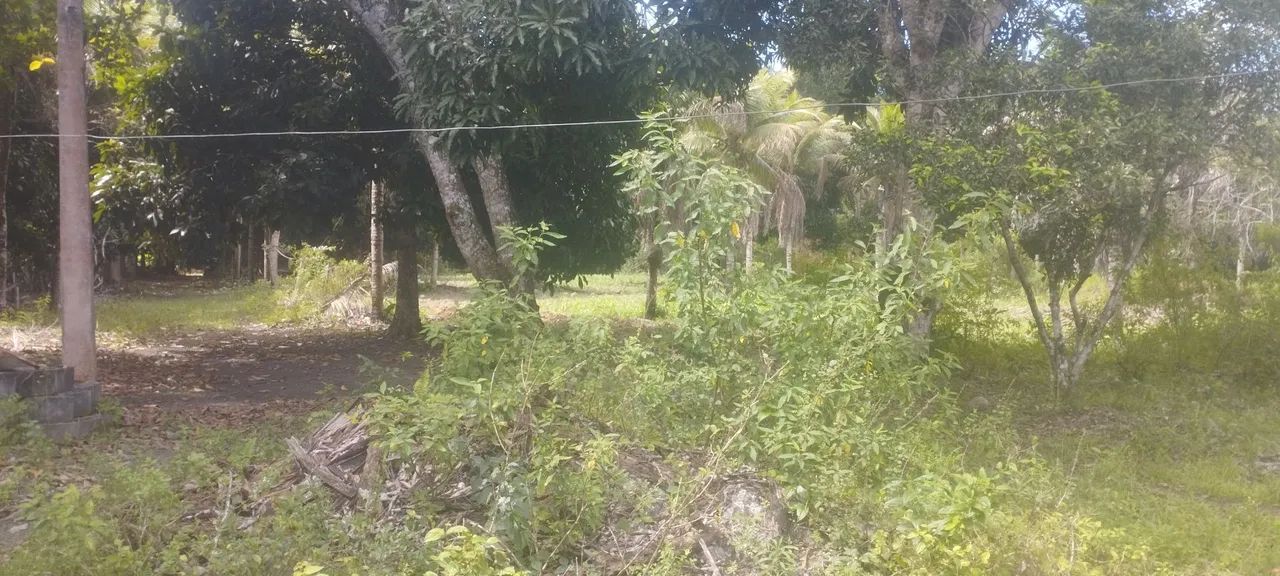VENDE-SE Sítio/Chácara 