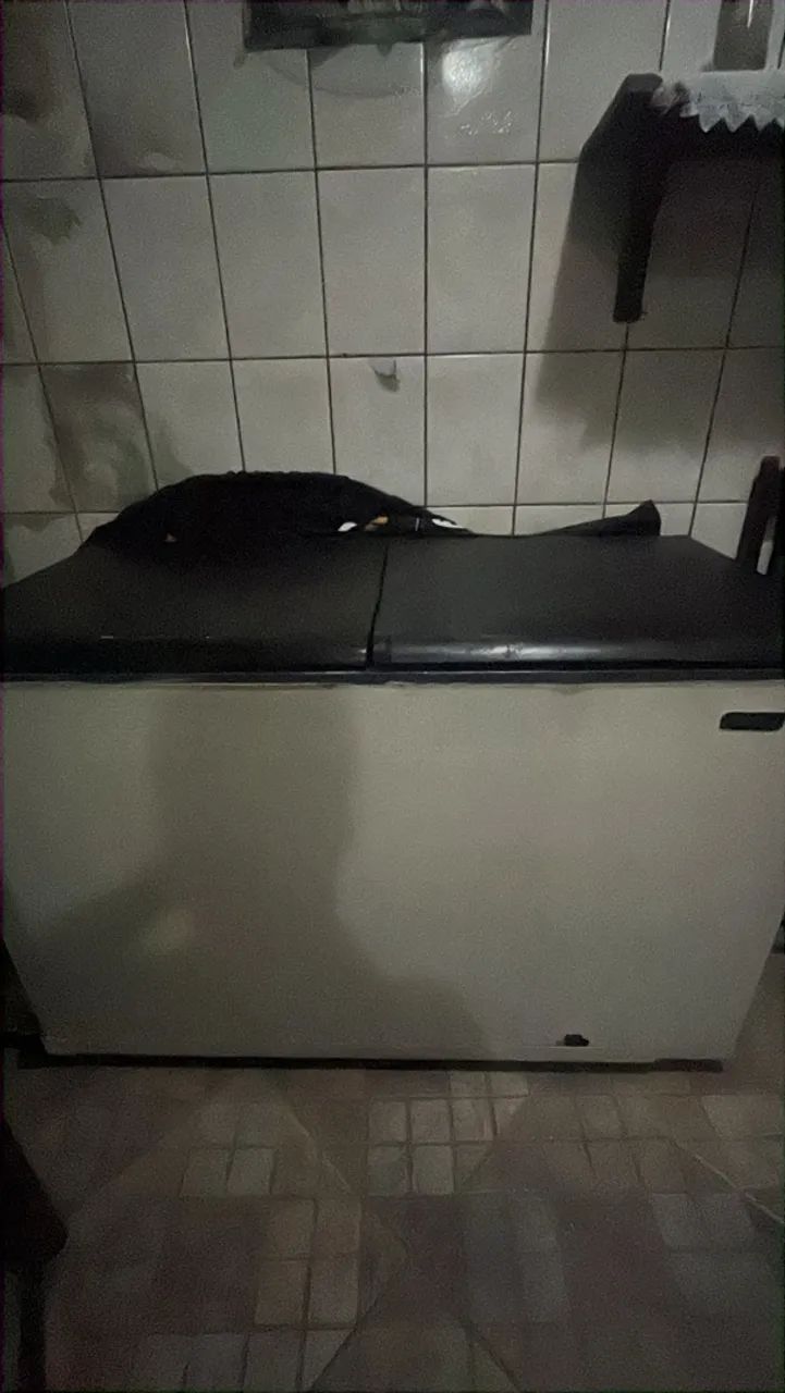 FREZZER 2 portas