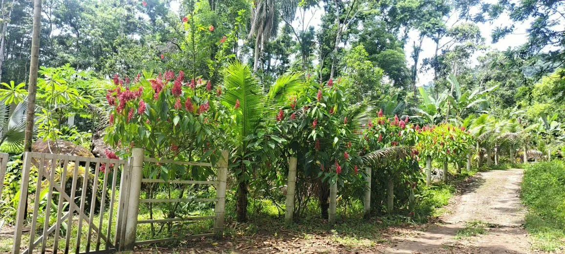 Casa no campo - Foto 2