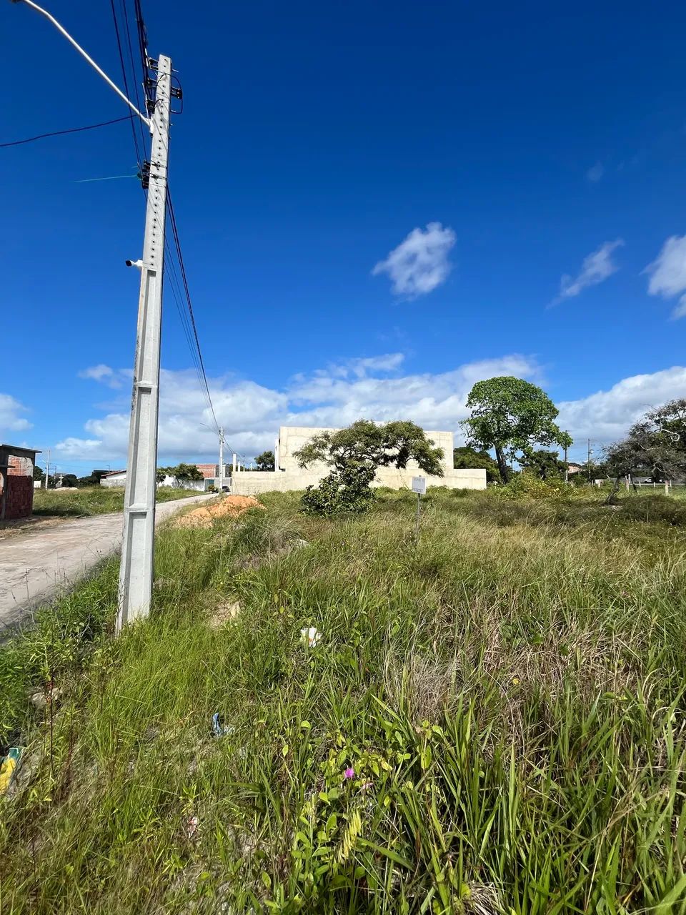 **TERRENO EM TAMANDARÉ**  - Foto 3
