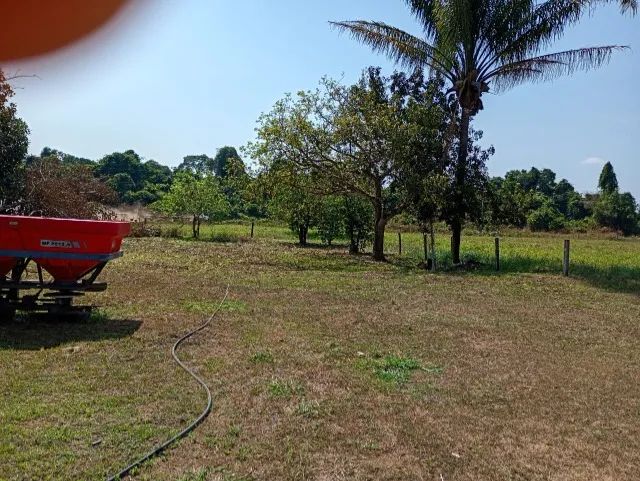 Lindo Sitio com 64 Alqueires em Parecis - RO - Foto 2