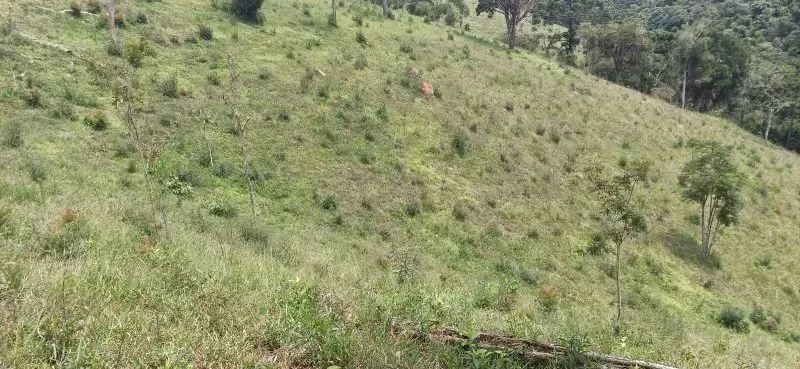 SÍTIO NA ESTRADA DO PARAIBUNA EM CUNHA-SP - Foto 5