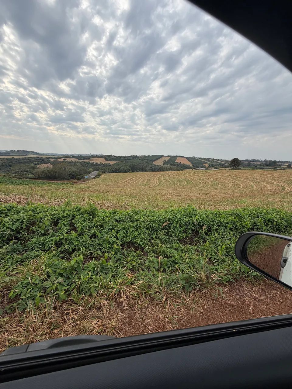 Vende se Chácara em Pirapó Apucarana  - Foto 2