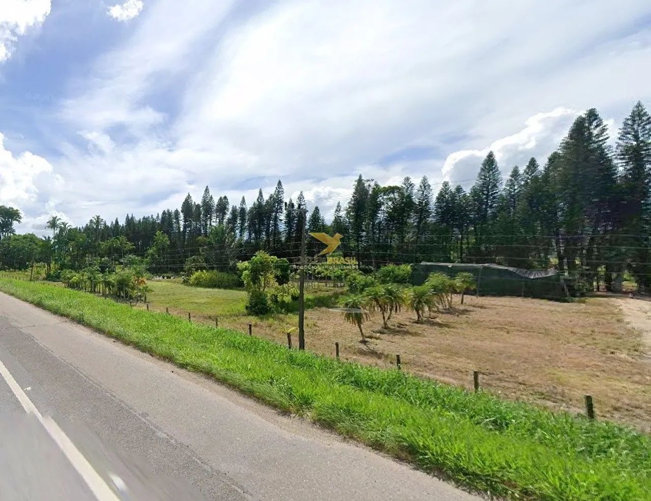 TERRENO COM 5.800 m ² À VENDA - BIGUAÇU/SC | BR-101 - Foto 2