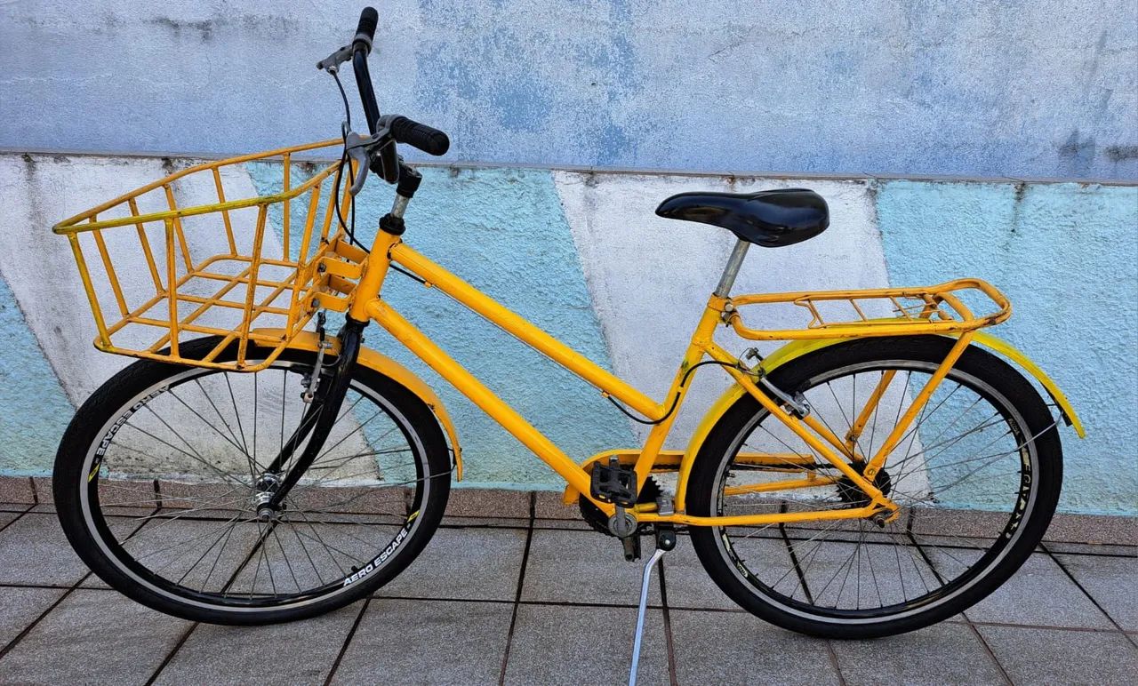 Bicicleta Cargueira 