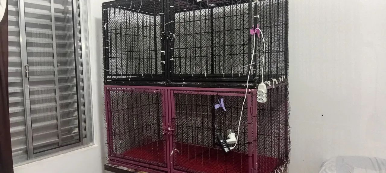 Gaiola pet shop - Foto 2