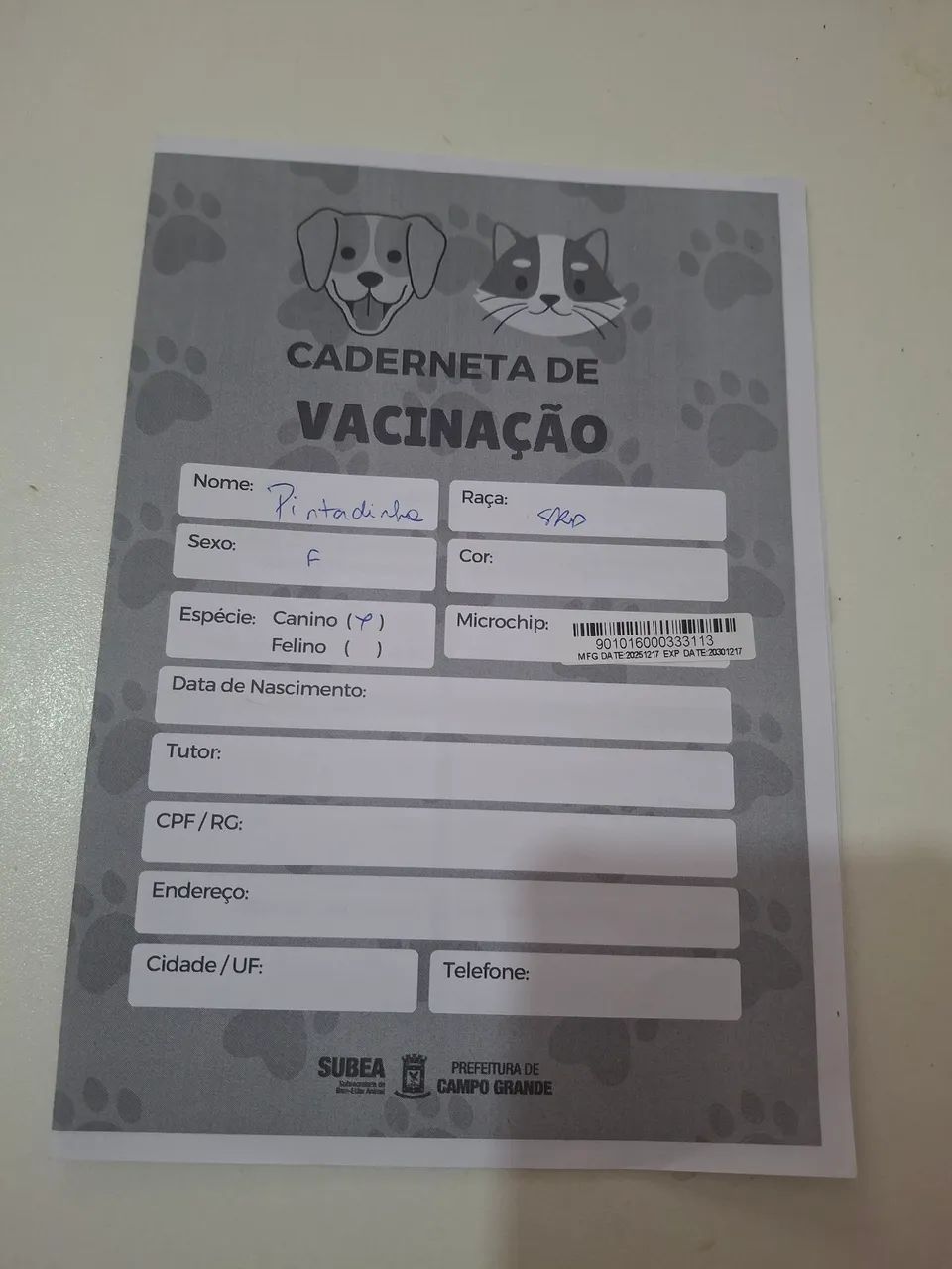 Cachorra castrada (1) - Foto 2