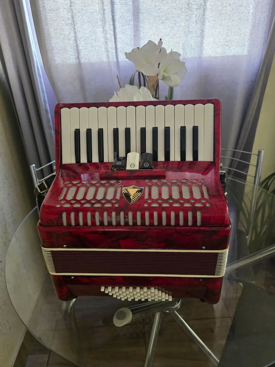 Acordeon 48 baixos eagle  muito  conservado 