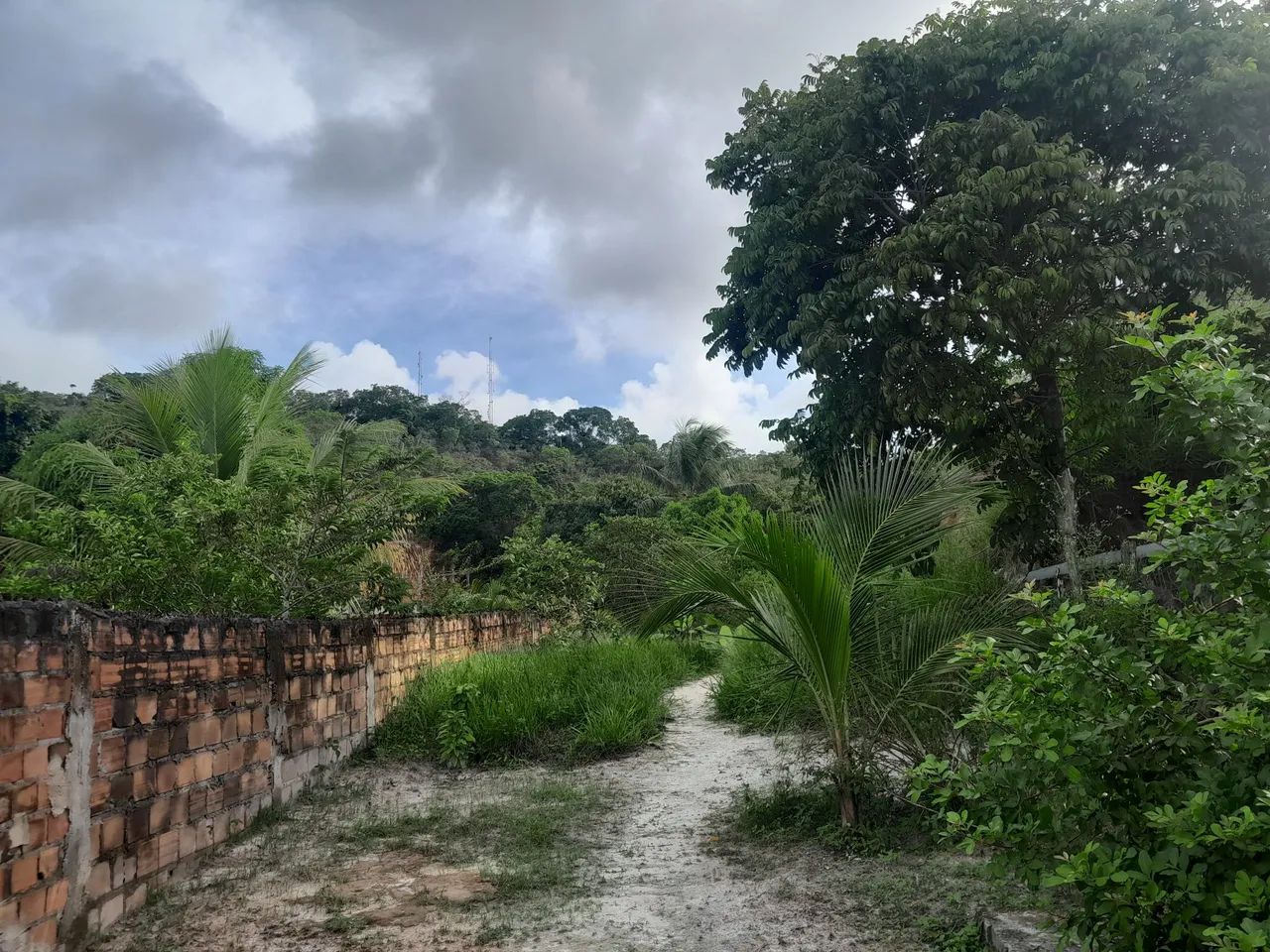 Foto - Dias DÁvila - 